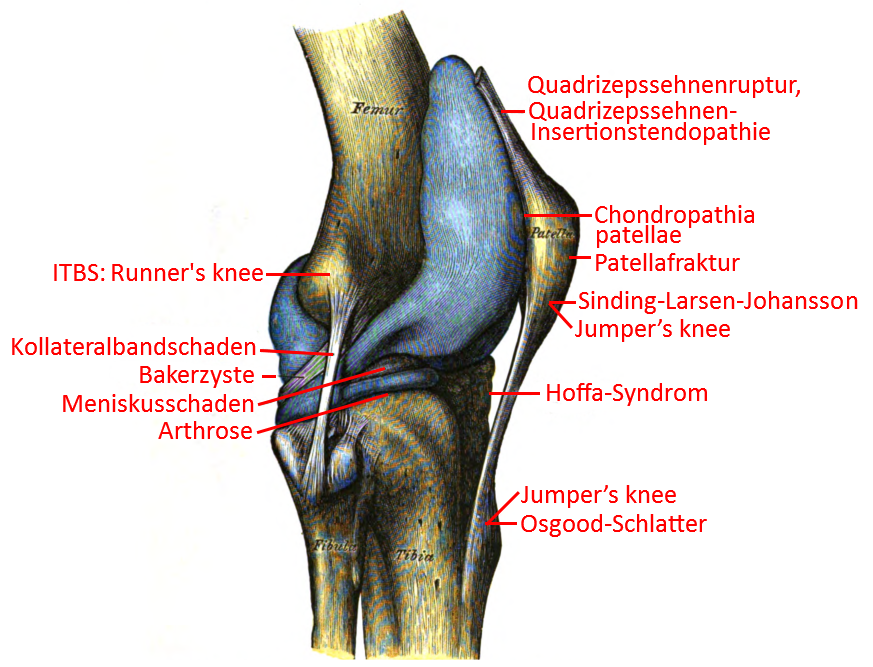 Pathologie